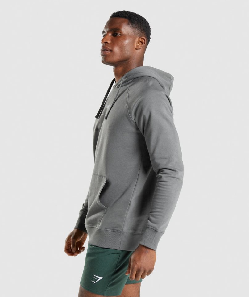 Men's Gymshark Sharkhead Infill Hoodie Grey | CA 6N0153